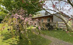 Little Owl Cottage